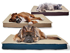 Dog Beds